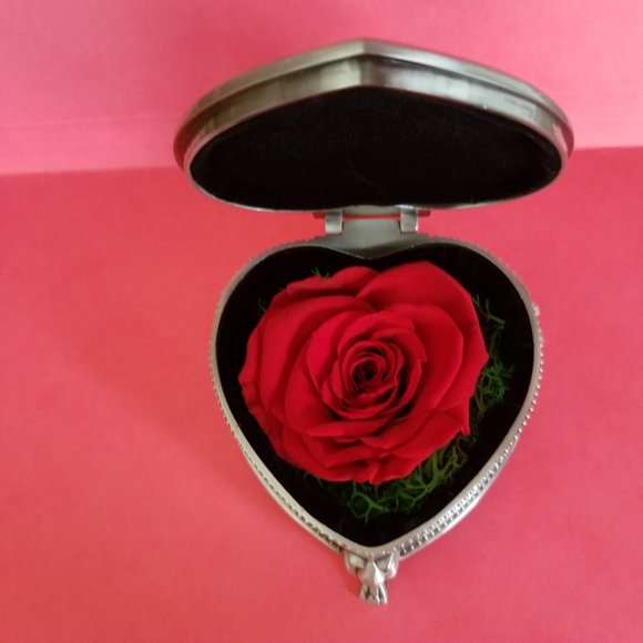 Preserved Eternal Red Rose in Heart-shaped Jewelry Box - Picture 4 of 15